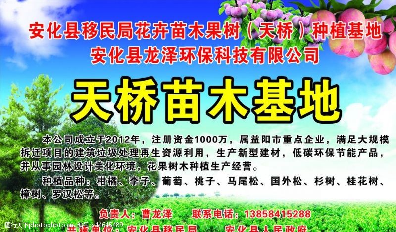 桃李满园 桃子李子图片素材的获取与树木种植经营之道