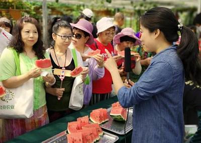 绿色耕耘结硕果 大兴区优质西瓜种植基地体验活动与树木经营共谱生态新篇章